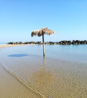 Stella Marina - Montesilvano - 2