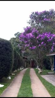 Hospedagem Chalé pousada Chácara Cantinho do Mozão - 9
