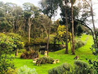 Countryside Retreat romantic tranquil native wildlife township Hepburn - Daylesford - 0