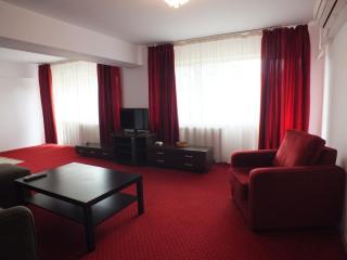 Alba Iulia Square - Apartments and Studios - Bucharest - 6