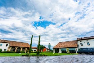 Annia Park Hotel Venice Airport - Tessera - 9