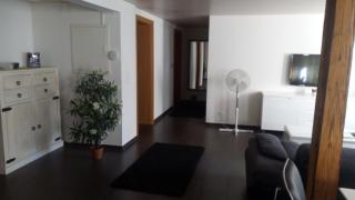 3 Doppelbett Business Apartment am Bodensee - Arbon - 4