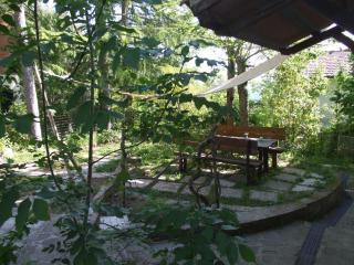 Vacanze Toscane In The Country - Villa Agrifogli - Sassetta - 3