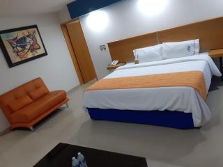 Hotel CEO - Morelia - 9
