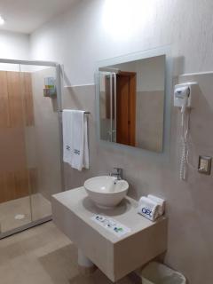 Hotel CEO - Morelia - 4