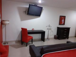 Hotel CEO - Morelia - 1