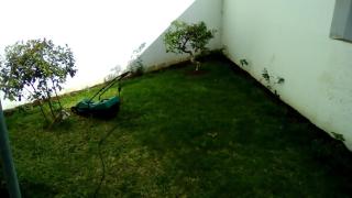 Apartamento Luz - Ponta Delgada - 7