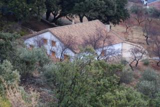 Casa Rural Las Encinas - Marchena - 1