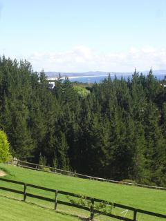 Country Homestead at Black Sheep Farm - Waipu - 2