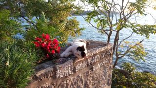 Sea of Eden - Dubrovnik - 9
