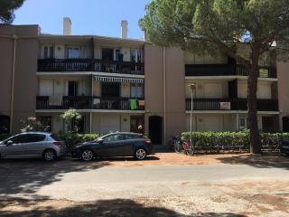 La palmeraie - 1