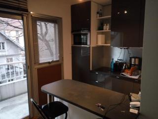 Appartement 2 pieces 40 m2, dans hyper centre, avec piscine au rez de chaussee - Grenoble - 4