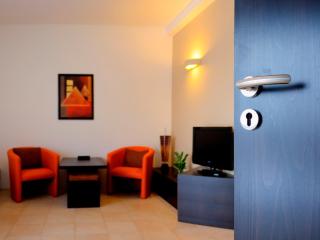 Puenta Aparthotel - Krynica-Zdrój - 9