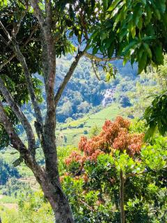 Glorious Nature Inn - Ella - 9