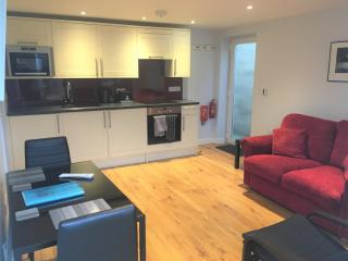Beautiful Modern Apartment in Bath - Bath - 8