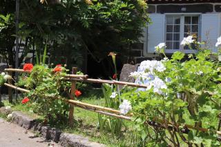 Quinta da Espadana - Povoação - 2