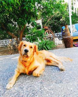 L'onda Oda Bodrum - Bodrum - 1