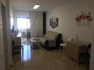 Apartamento Tobias Agaete Parque Playa del Ingles - San Bartolomé - 3