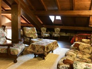 Antico Borgo dell'Anconella - grande appartamento rustico - Anconella - 1