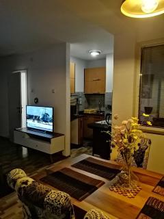 Apartman EDEN No 1 - Teslić - 8