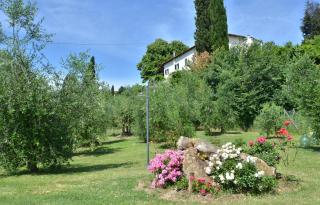 Villa Buonaparte - San Miniato - 2