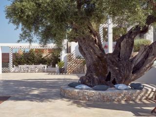 PanoPlagia Villa - Agios Nikolaos - 1
