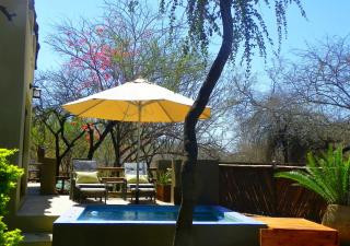 Marloth Park Hippo House - Marloth Park - 9