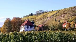 Ferienhaus Nicolaus - Radebeul - 8