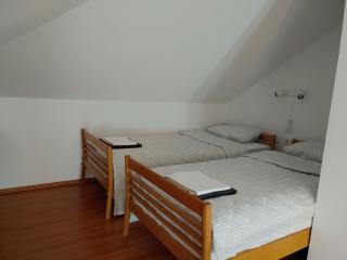 Ajda apartment - Kranjska Gora - 1