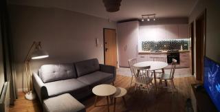 Zielona Krynica Apartament - Krynica Morska - 3