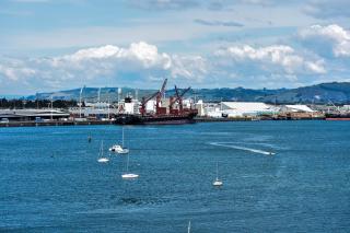 Up in the Stars B&B Homestay - 3