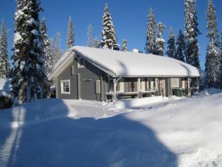Hippu Apartment - Ruka - 8