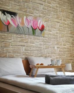 Snow Apartment - Bansko - Bansko - 0
