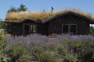 Hostal Zapato Amarillo - 5