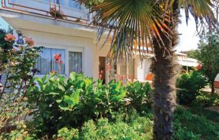 Apartment Vesna 812 - 5