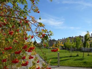 APARTMENTSUITESPAIN FORMIGAL ORDESa - Sabiñánigo - 7