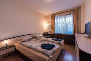 Charming, Fully-furnished, 2-bedroom apartment by Flat Mаnager - Bansko - 8