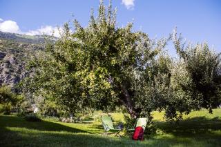 Garni - Hotel Rinner Julia - 2