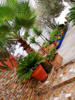 Dar ezzitouna - Oualidia - 1