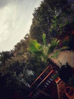 Dar ezzitouna - Oualidia - 3