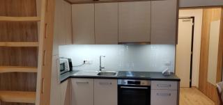 Vila Mojca - Studio 13 - Kranjska Gora - 5