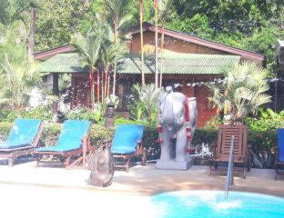 Jungle Village Bungalow - 3