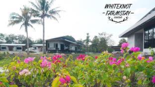 White Knot Khao Yai - 5