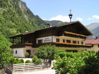 Haus Niklehen - Hüttschlag - 1