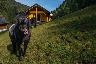 Almhuette MeineZeit - 2