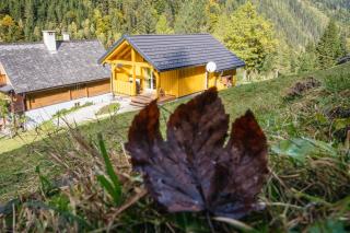 Almhuette MeineZeit - 4