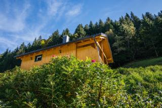 Almhuette MeineZeit - Donnersbachwald - 6