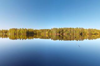 Northwoods Paradise - 6