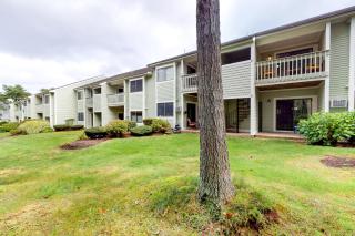 Ocean Mandevilla - 7