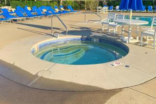 Ocean Mandevilla - Brewster - 4